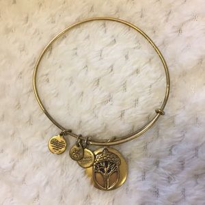 Alex and Ani bracelet